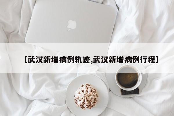 【武汉新增病例轨迹,武汉新增病例行程】