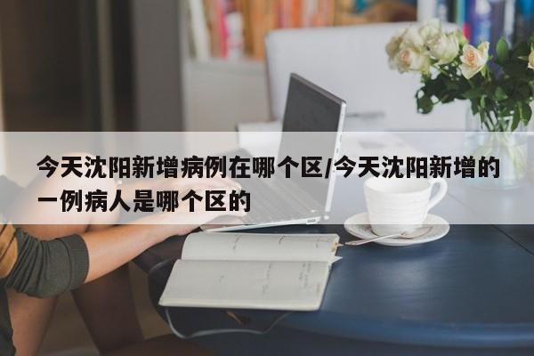 今天沈阳新增病例在哪个区/今天沈阳新增的一例病人是哪个区的