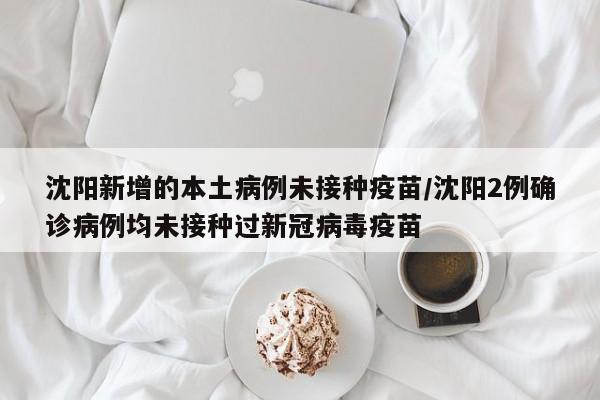 沈阳新增的本土病例未接种疫苗/沈阳2例确诊病例均未接种过新冠病毒疫苗