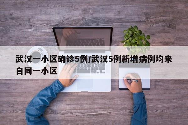 武汉一小区确诊5例/武汉5例新增病例均来自同一小区