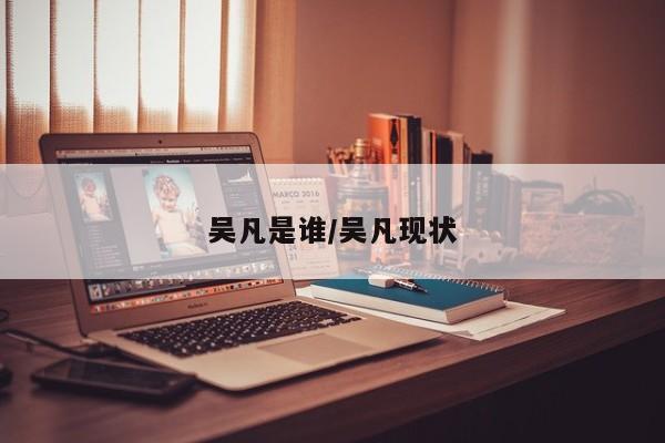 吴凡是谁/吴凡现状