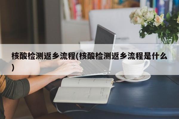 核酸检测返乡流程(核酸检测返乡流程是什么)
