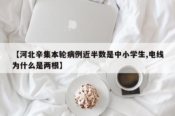 【河北辛集本轮病例近半数是中小学生,电线为什么是两根】