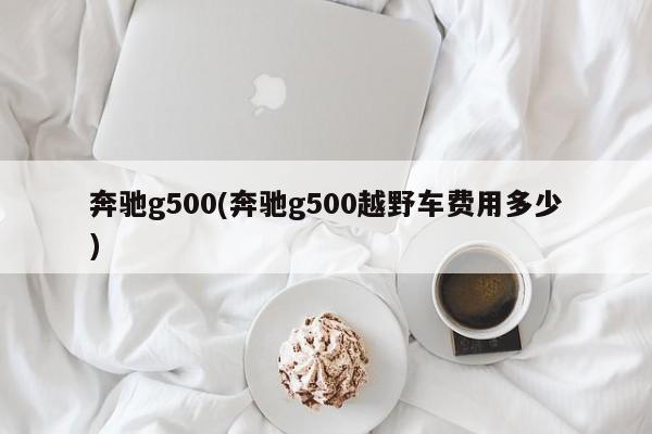 奔驰g500(奔驰g500越野车费用多少)