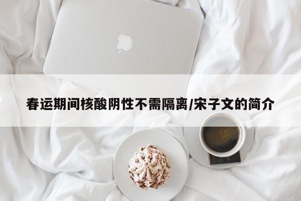 春运期间核酸阴性不需隔离/宋子文的简介