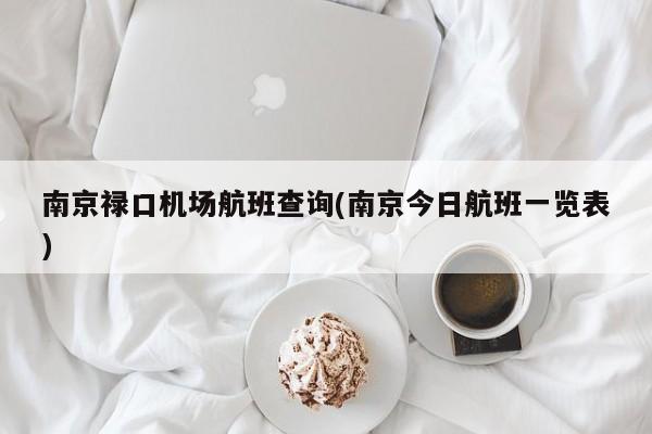 南京禄口机场航班查询(南京今日航班一览表)
